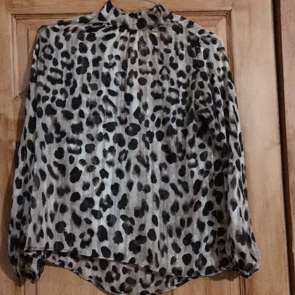 Sheer blouse
